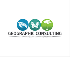 goe-consulting